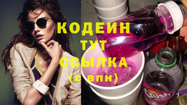 шишки Великий Новгород