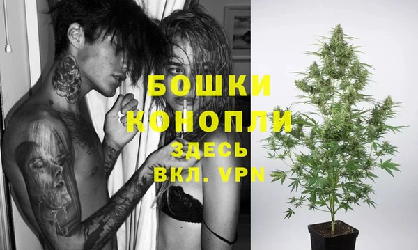 шишки Великий Новгород