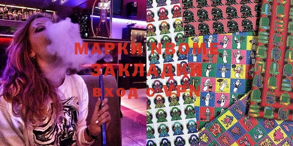 шишки Великий Новгород