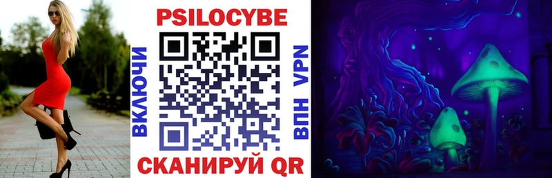 Псилоцибиновые грибы Psilocybe Купить закладки Кыштым
