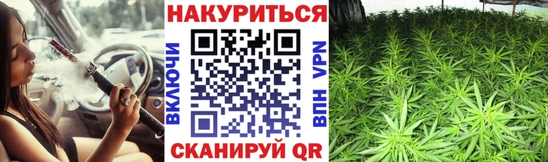 Купить закладки  Кыштым  Конопля марихуана 